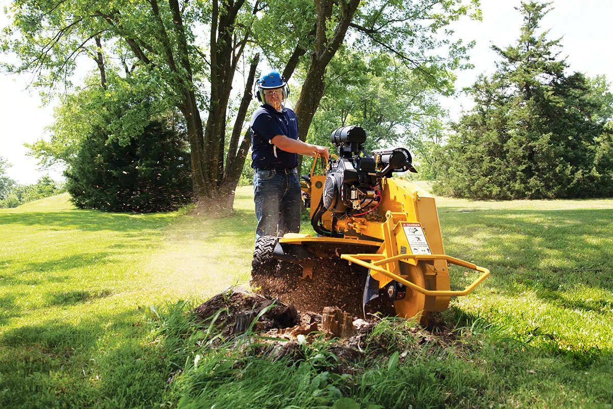 Tree Stump Grinder​