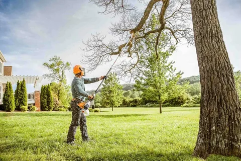 Tree Trimming Services​