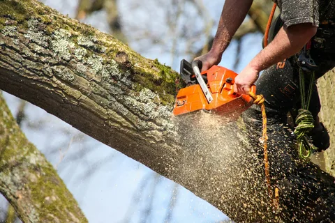 Tree Cutting Services​